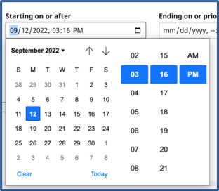 Date Filter Options