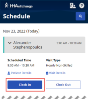 Partial image of Visit Details showing Clock In button highloghted