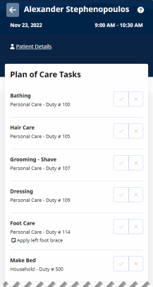 Partial image of Visit Details page showing Plan of Care Tasks