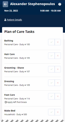 Partial image of Scheduled Visit Details page showing Plan of Care Tasks