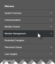 Navigation Menu with arrow cursor hovering over Member Management category