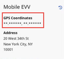 Visit Info GPS Coordinates Masked