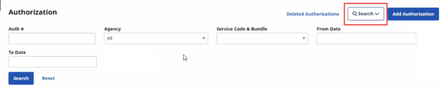 Authorization Search filters